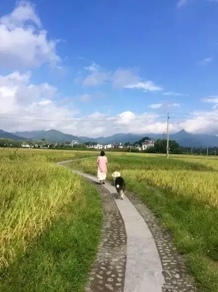 民宿酒店设计